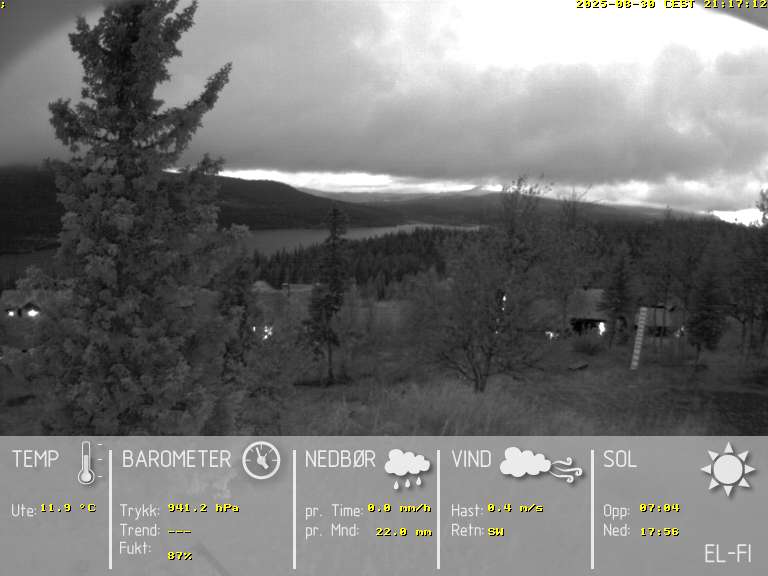 Camera Live Image