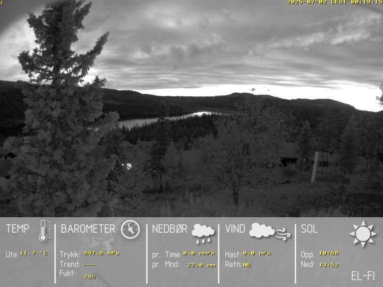 Camera Live Image