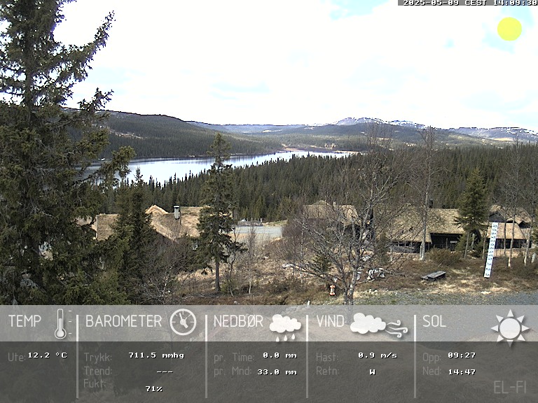 Camera Live Image
