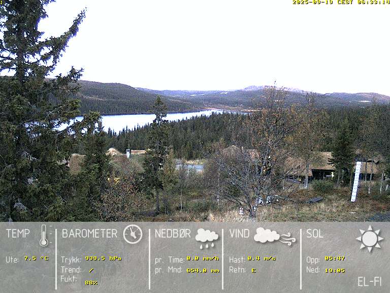 Camera Live Image