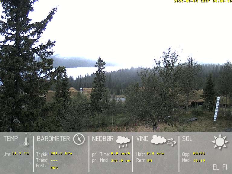 Camera Live Image