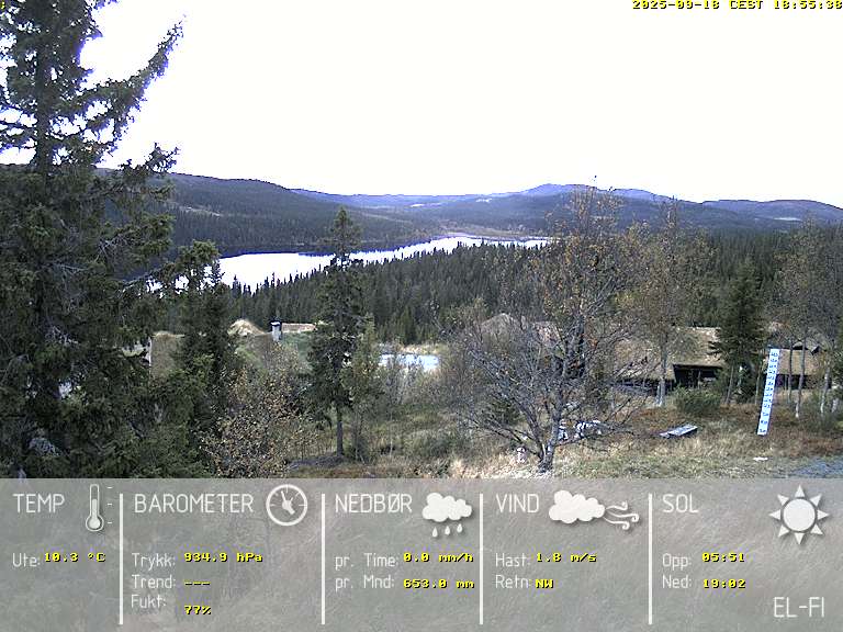 Camera Live Image